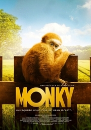 Monky, un petit mico amb un gran secret